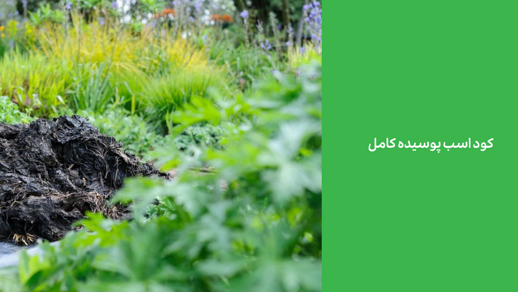 کود اسب پوسیده کامل