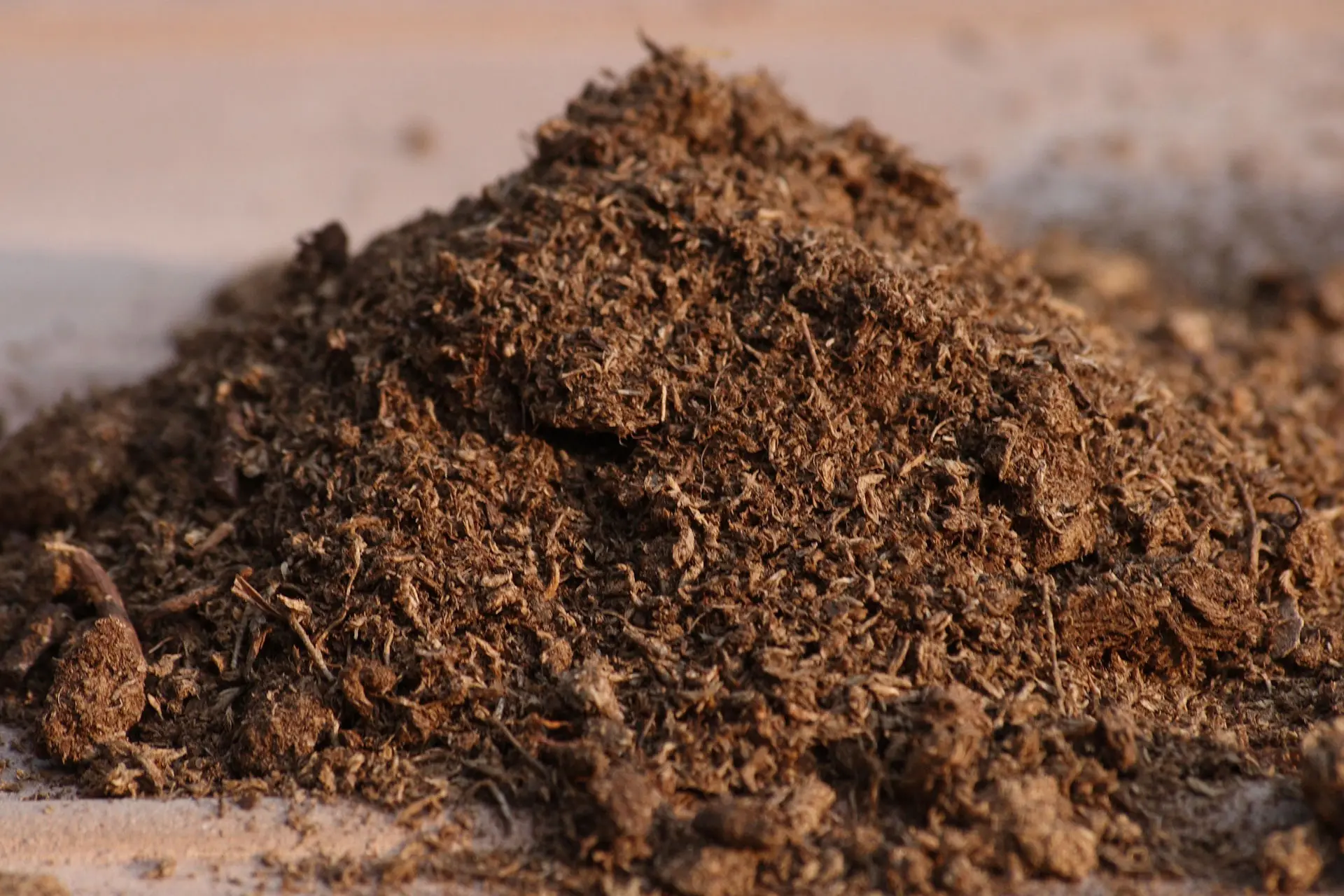 کود پیت ماس، قیمت و خرید کود peat moss