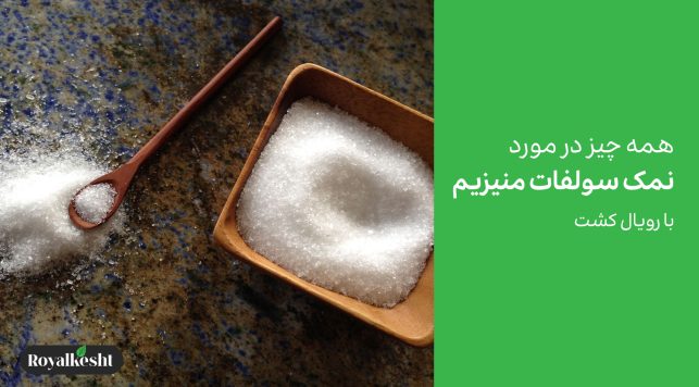 نمک سولفات منیزیم Magnesium sulfate salt