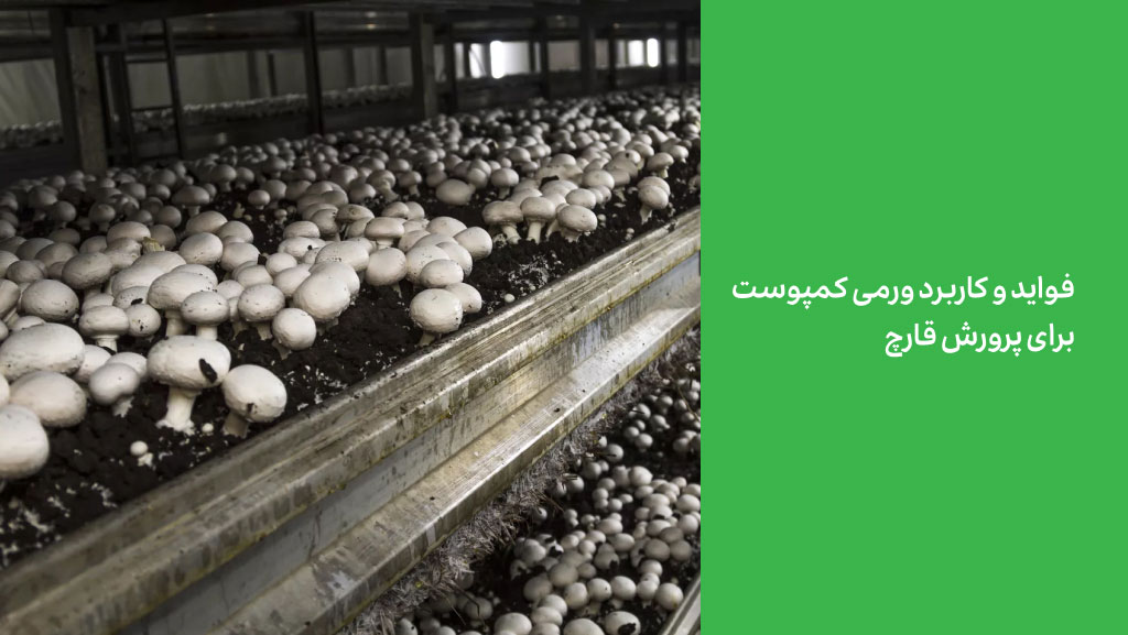 فواید و کاربرد ورمی کمپوست برای پرورش قارچ