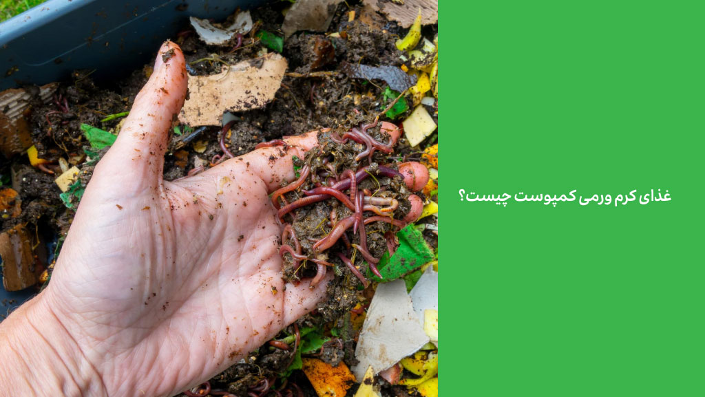 غذای کرم ورمی کمپوست چیست؟
