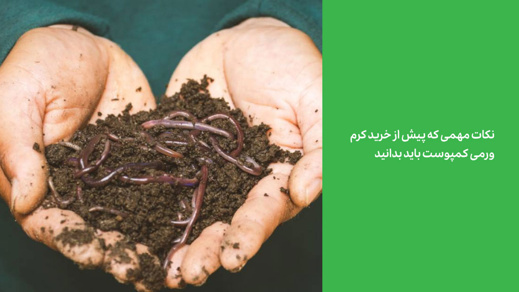 خرید کرم ورمی کمپوست