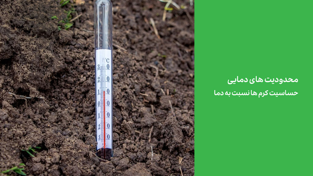 محدودیت های دمایی حساسیت کرم‌ ها نسبت به دما