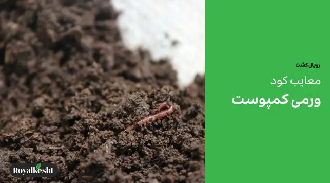 معایب ورمی کمپوست چیست؟ (۸ مورد از معایب)