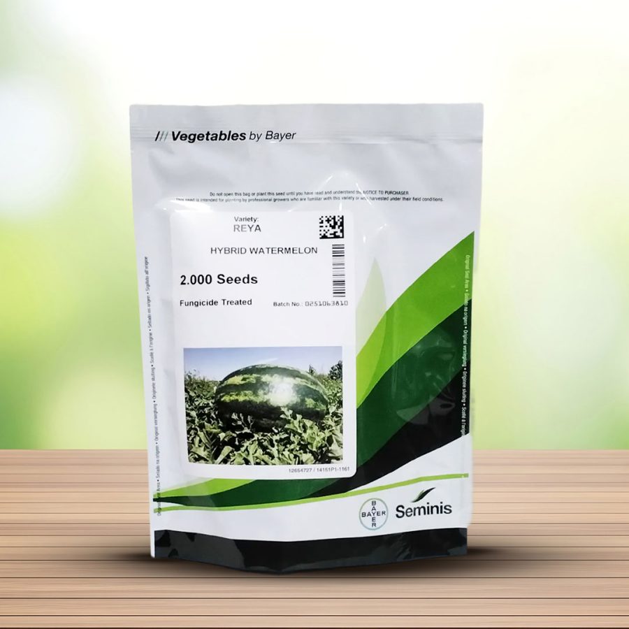 بذر هندوانه رییا سیمینس هیبرید