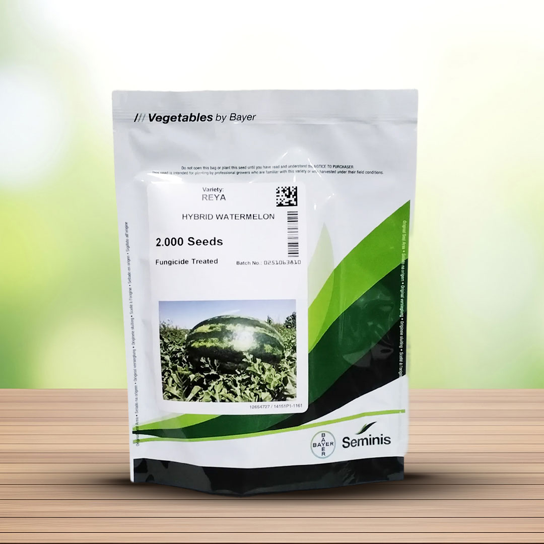 بذر هندوانه رییا سیمینس هیبرید