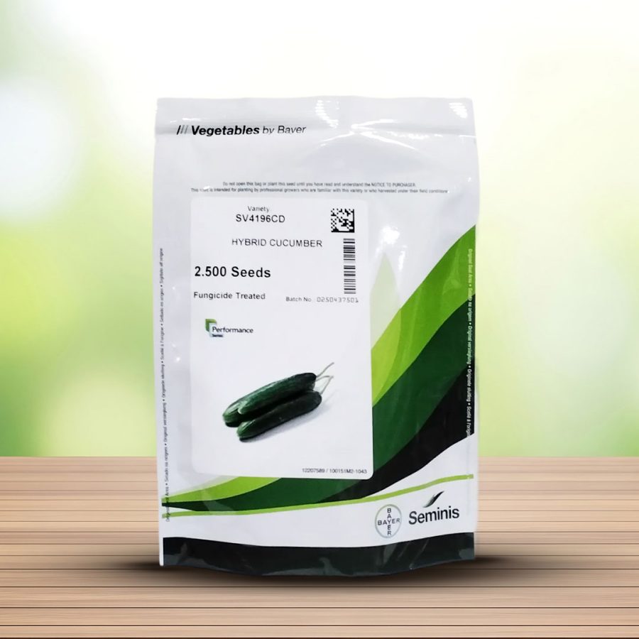 بذر خیار 4196هیبرید