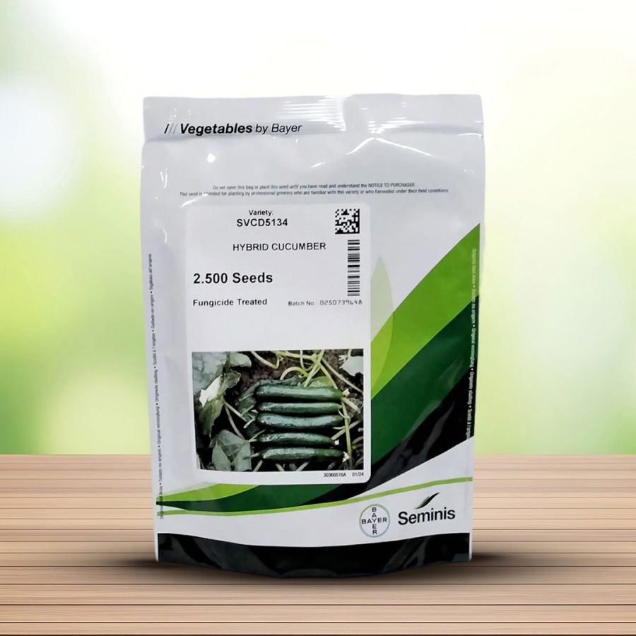 بذر خیار 5134 هیبرید