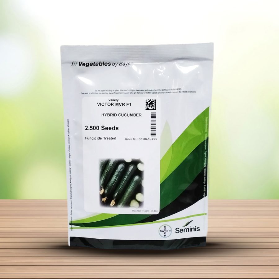 بذر خیار ویکتور هیبرید