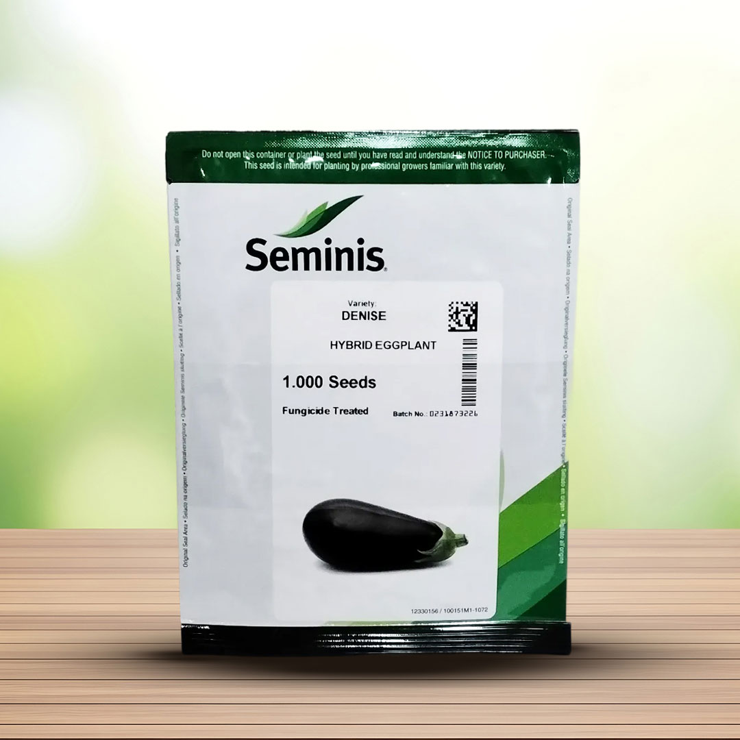 بذر بادمجان دنیز هیبرید سیمینس