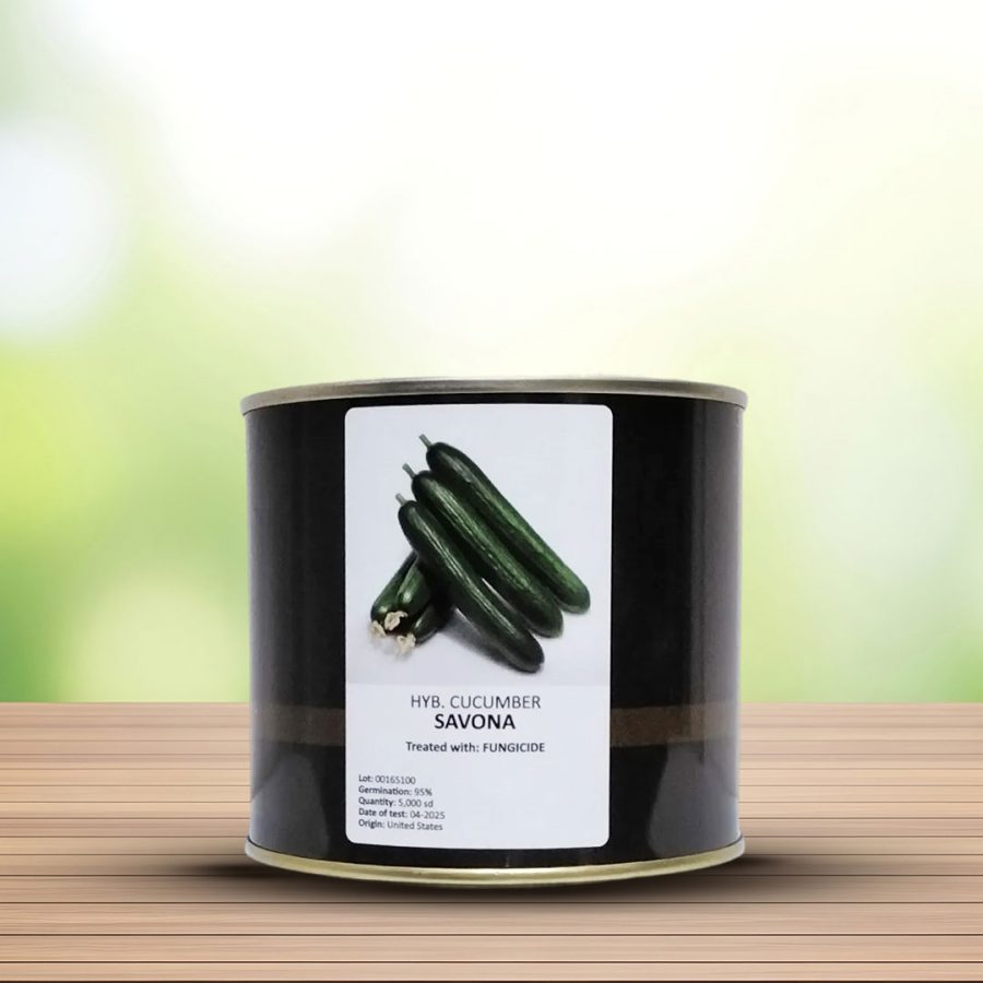 بذر خیار ساوونا هیبرید