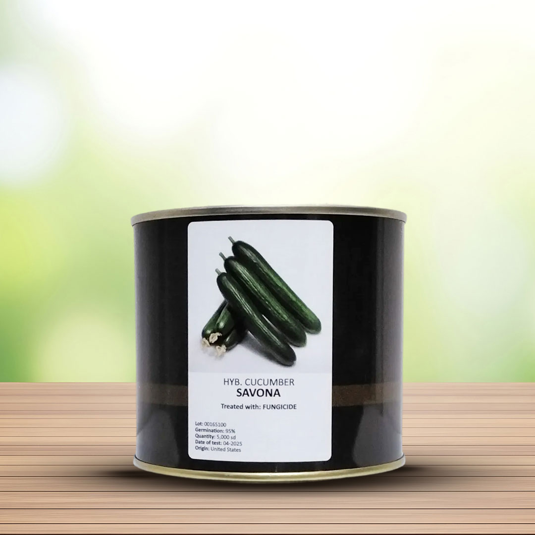 بذر خیار ساوونا هیبرید