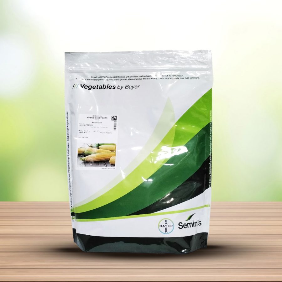 بذر ذرت هیبرید مسنجر