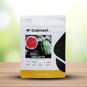 بذر هندوانه هیبرید cello سینجنتا