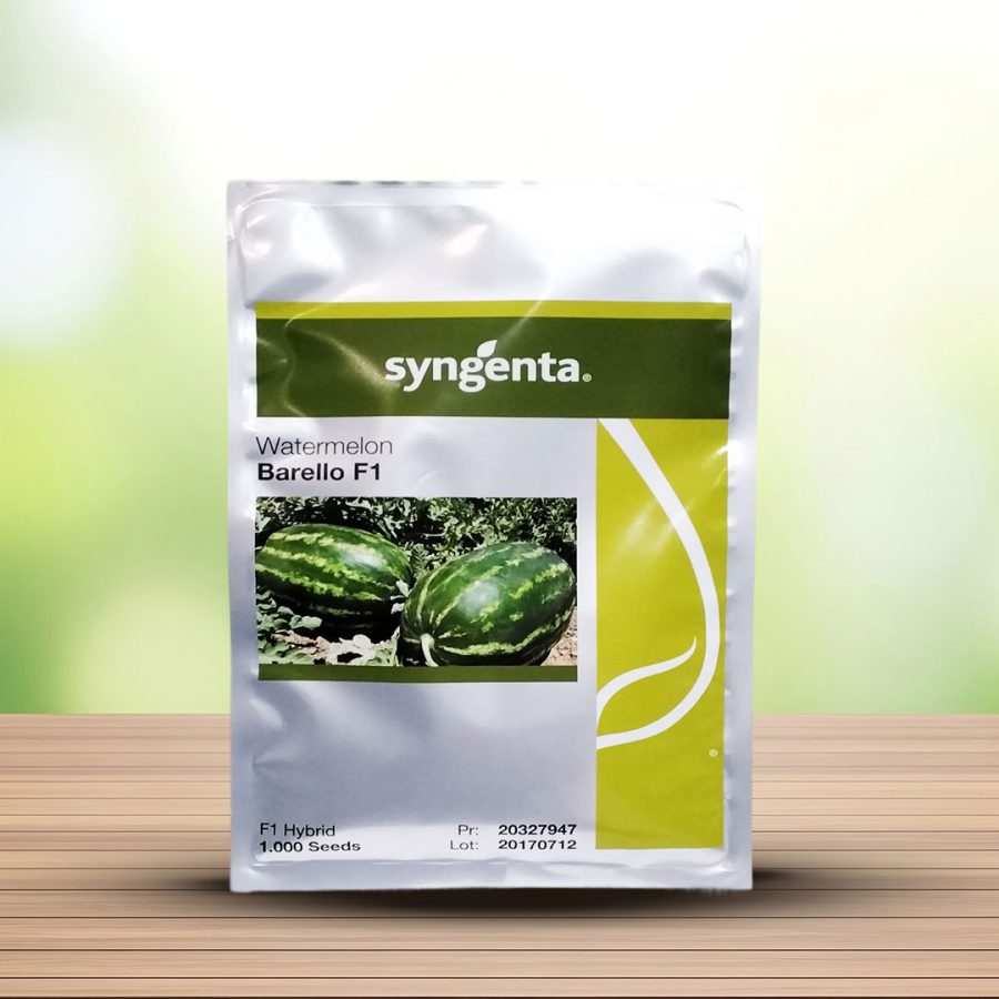 بذر هندوانه هیبرید بارلو سینجنتا