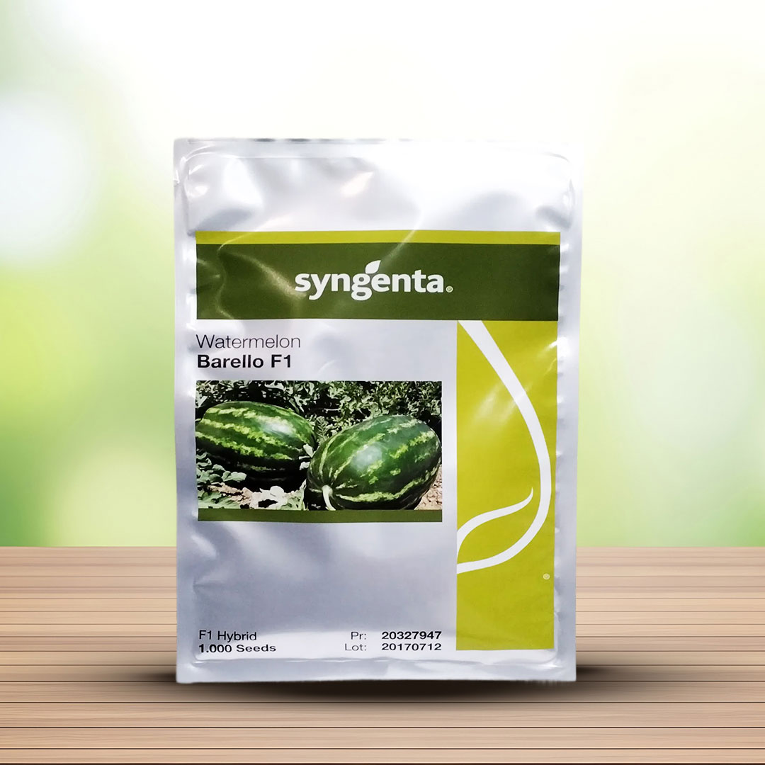 بذر هندوانه هیبرید بارلو سینجنتا