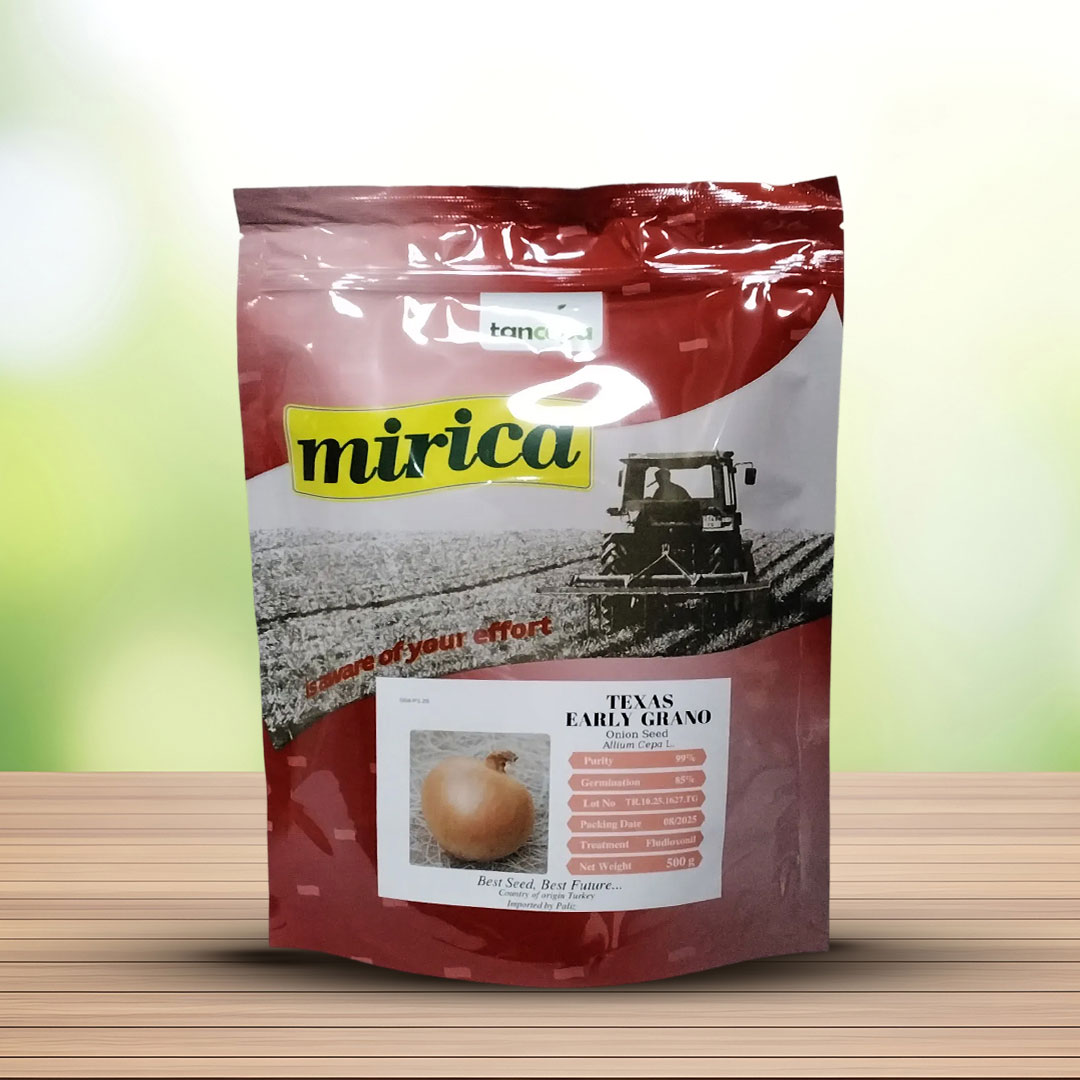 بذر پیاز زرد تگزاس ارلی گرانو میریکا