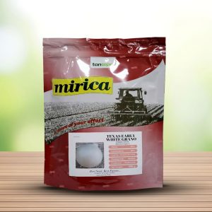 بذر پیاز سفید تگزاس ارلی گرانو میریکا