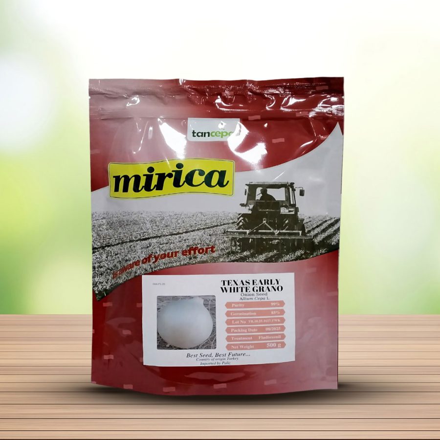 بذر پیاز سفید تگزاس ارلی گرانو میریکا