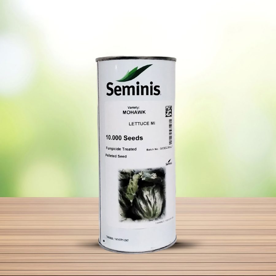 بذر کاهو موهاک سیمینس