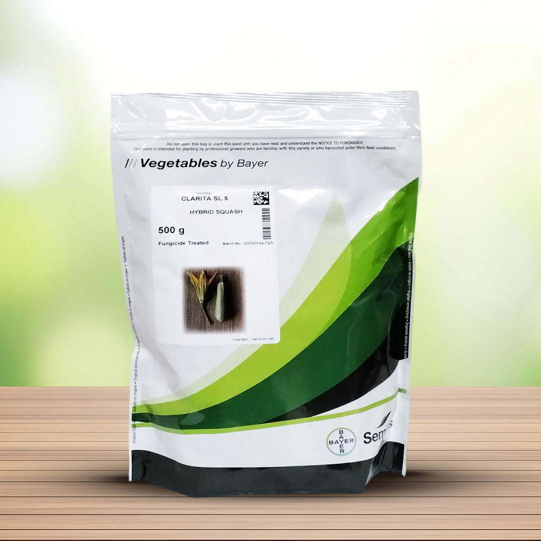 بذر کدو هیبرید تک گل سیمینس