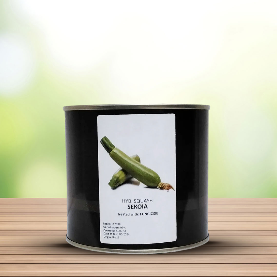 بذر کدو هیبرید سکویا