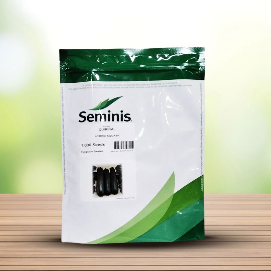 بذر کدو هیبرید کویرنیال