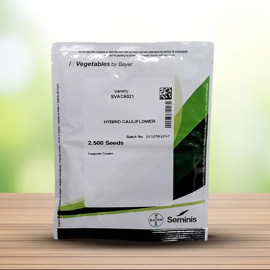 بذر گل کلم هیبرید 6021 سیمینس