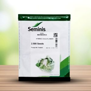 بذر گل کلم هیبرید مارمورکس