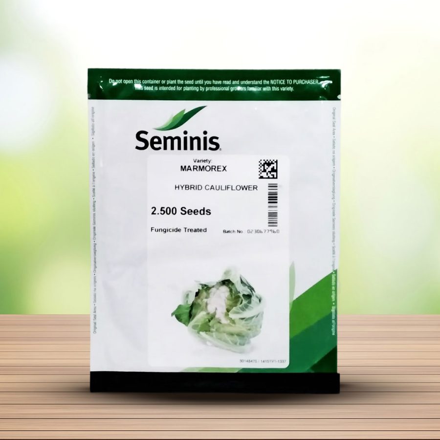 بذر گل کلم هیبرید مارمورکس