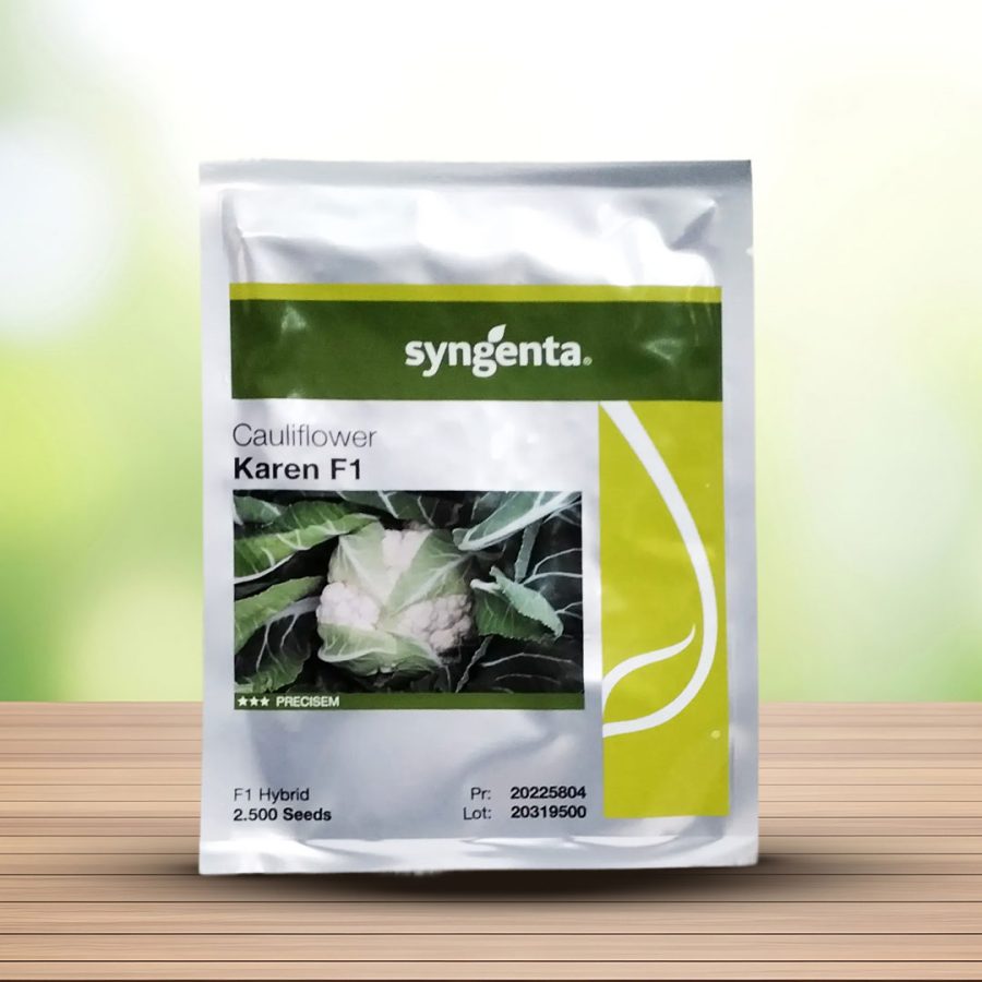 بذر گل کلم کارن سینجنتا