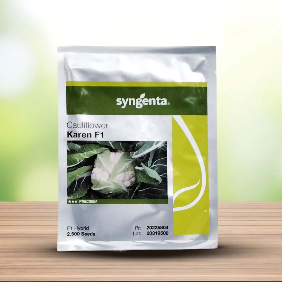 بذر گل کلم کارن سینجنتا