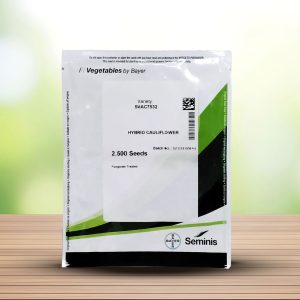 بذر گل کلم ۷۵۳۲ سیمینس