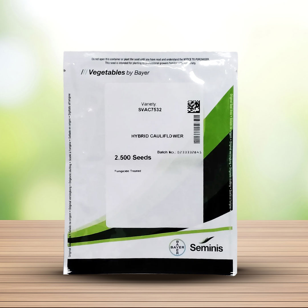 بذر گل کلم ۷۵۳۲ سیمینس