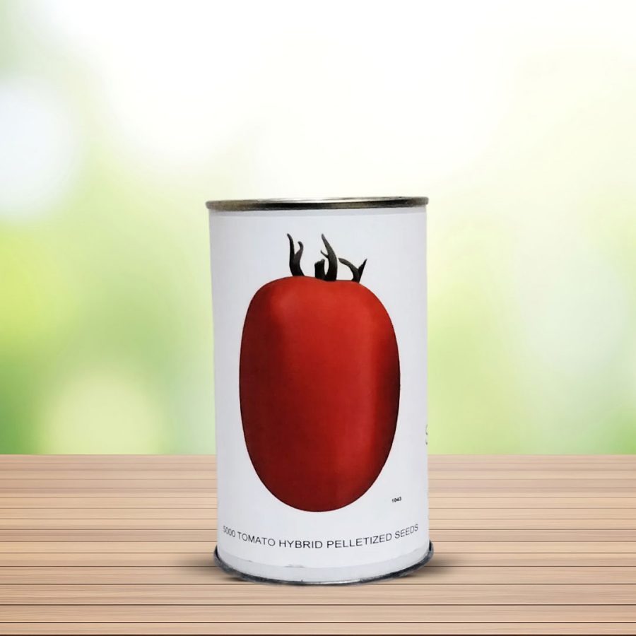 بذر گوجه فرنگی هیبرید سما