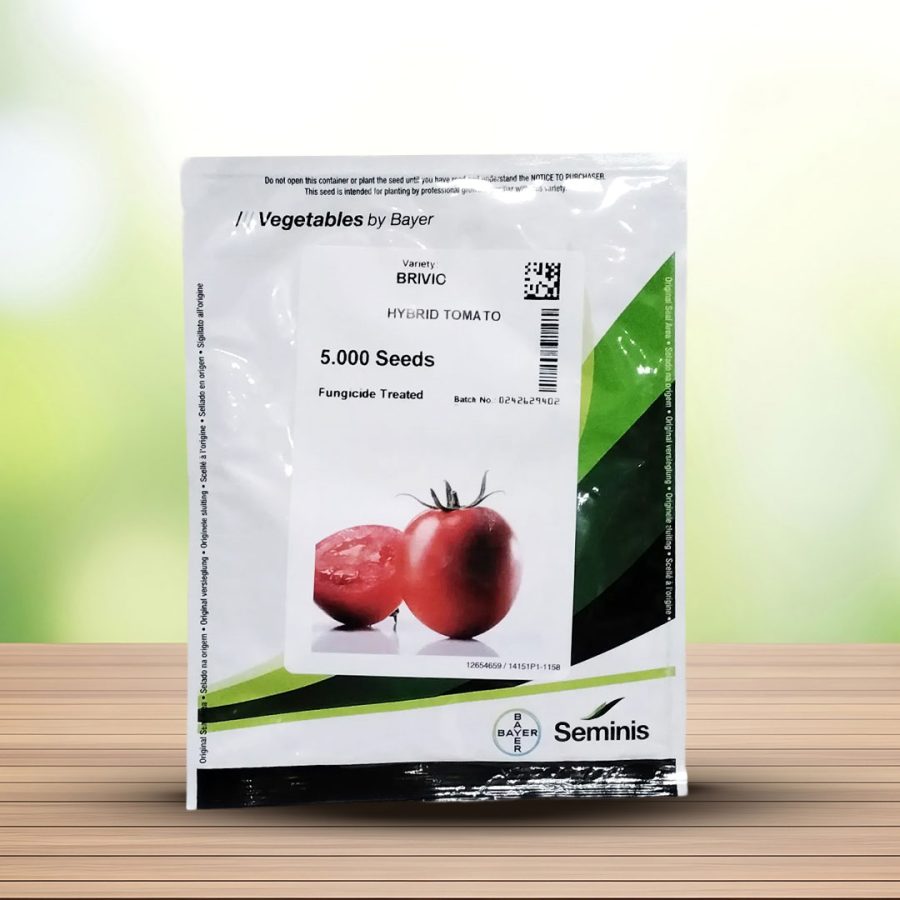 بذر گوجه هیبرید بریویو