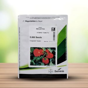 بذر گوجه هیبرید ردجیدا