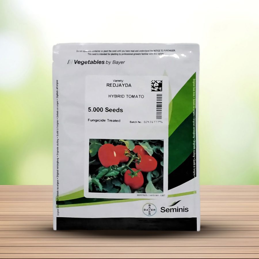 بذر گوجه هیبرید ردجیدا