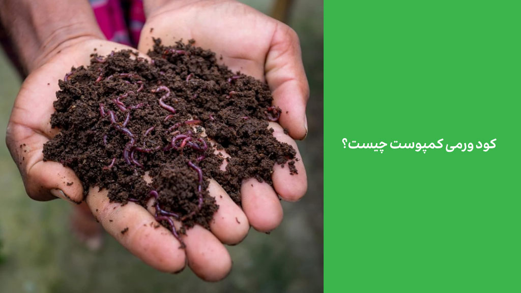 کود ورمی کمپوست چیست؟