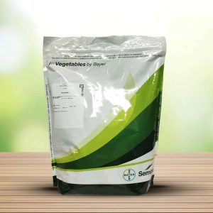 بذر ذرت هیبرید 1446